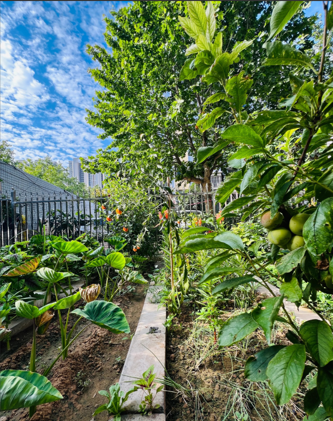 刚刚刷到肚说“我当时真是昏了头了，为啥不等公共安安的人来呢，那有自己给自己做DN