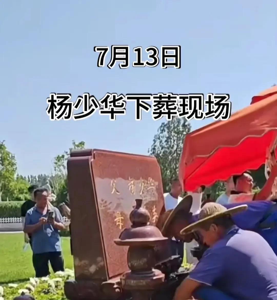 杨少华下葬现场画面曝光，儿子们悲伤，哭成泪人。
也有不一样地方，儿子们不知道是觉