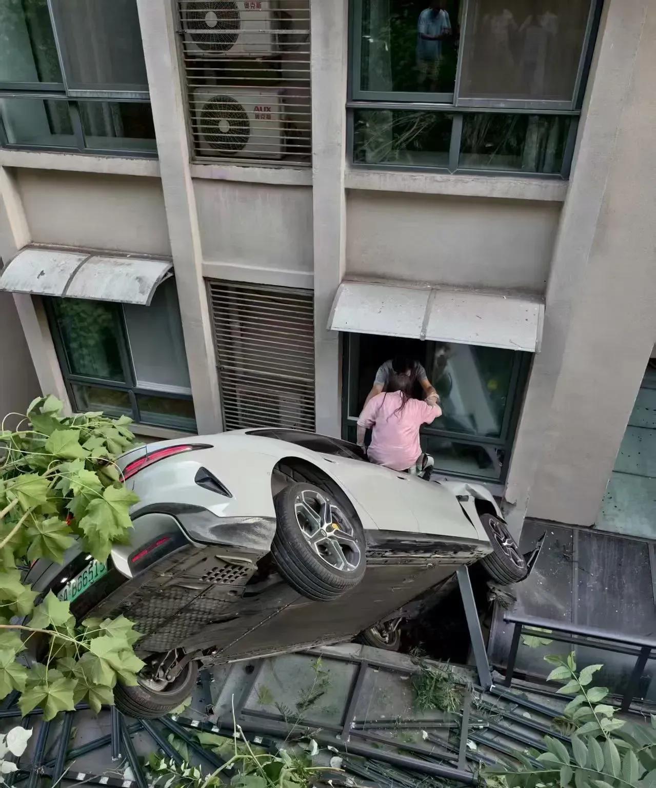 绿化带已经满足不了这货了，已开启上房揭瓦模式。
    知道你很急，但不要急，还
