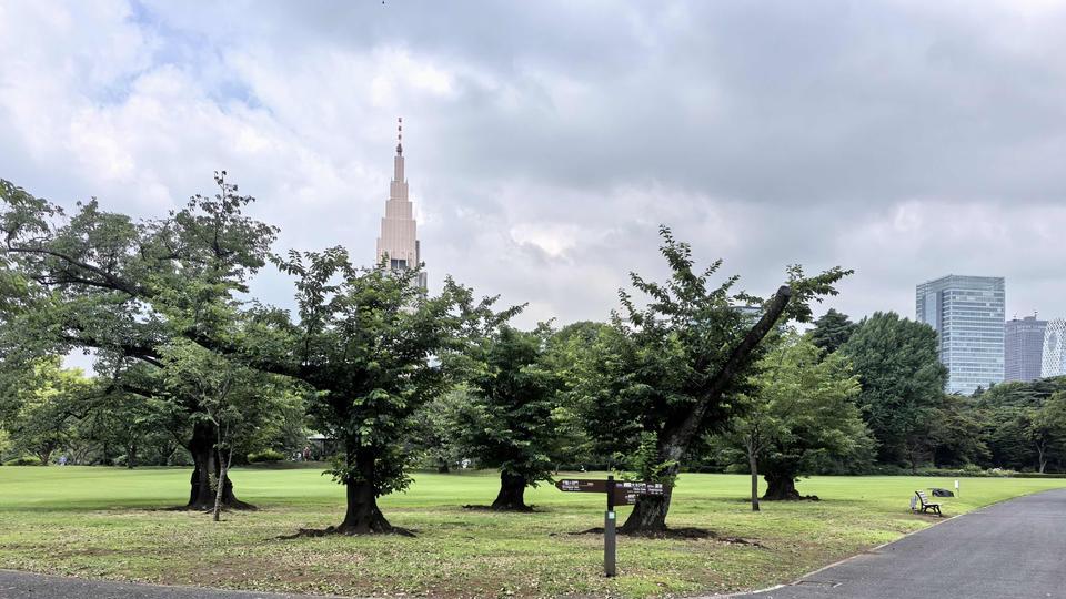 日本天皇住过的地方门票只要500元，但游客却都感觉很失望，朋友甚至说“国内收10