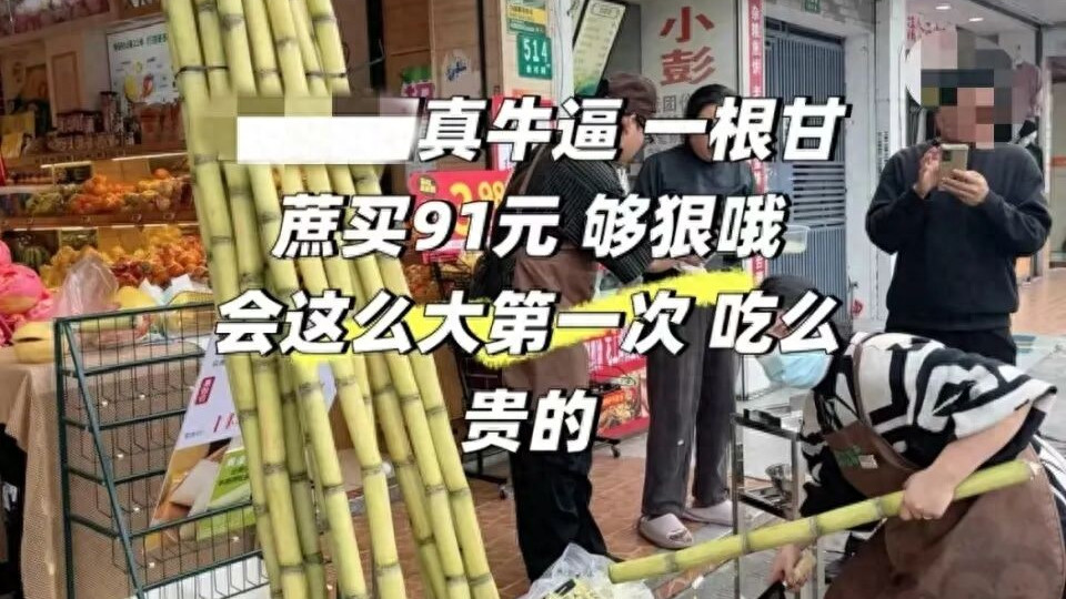 赞 评论 收藏 分享 上海家长买甘蔗花91元！比平时贵3倍，商家：西双版纳绿皮品种就这价