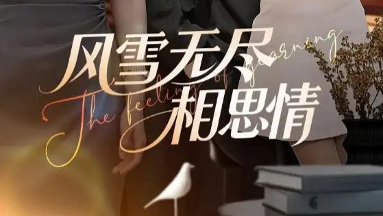 超燃短剧《风雪无尽相思情》：青春的风雪与成长的相思