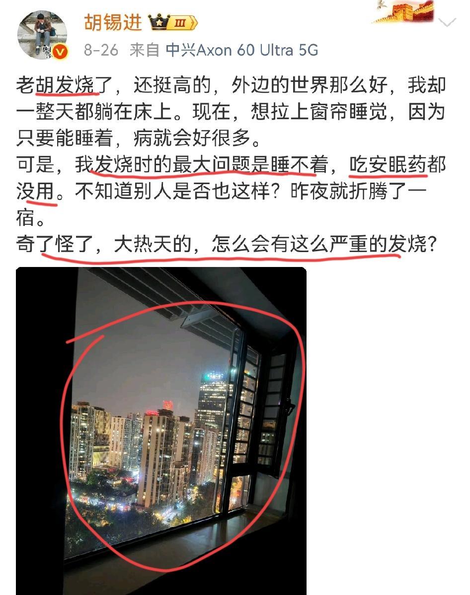 胡锡进时不时的就会发一些奇怪的图片说一些蹩嘴的话，仿佛就是一种对外的暗语一样，只