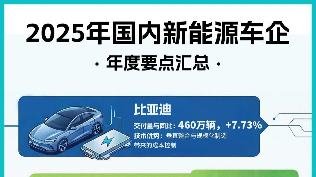 2025年中国新能源车企格局图鉴