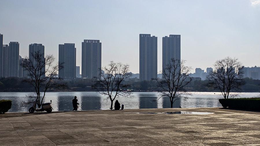 武汉月湖湖畔冬韵