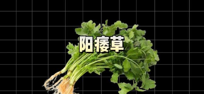 各国不吃的食物：韩国人不吃香菜，俄罗斯人不吃狗肉，中国人呢？
当我踏入2018年