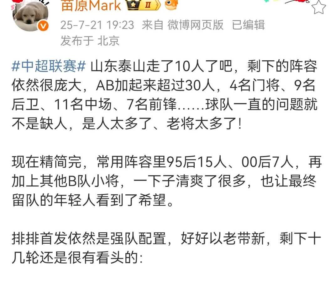 媒体人苗原也认为山东泰山的人太多了，尤其是老将太多了。

一线队及泰山B队加