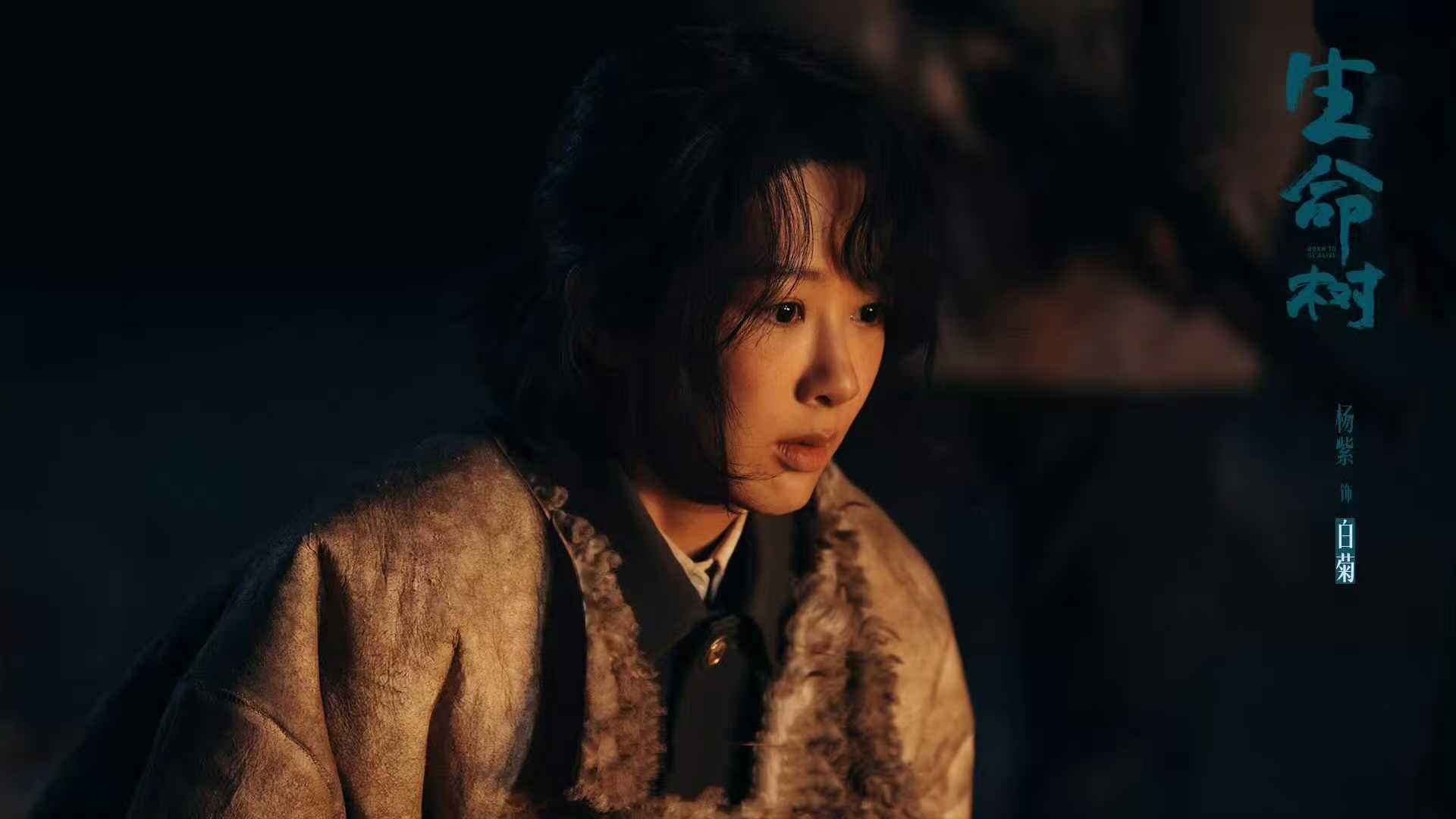 电视剧《生命树》热播引热议，为何观众口碑很一致？
由杨紫、胡歌等主演的主旋律剧《