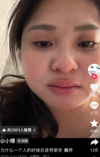 我挤地铁的孤独算孤独，你戴宝格丽看东方明珠的孤独……建议叫《凡尔赛の空虚》。老粉