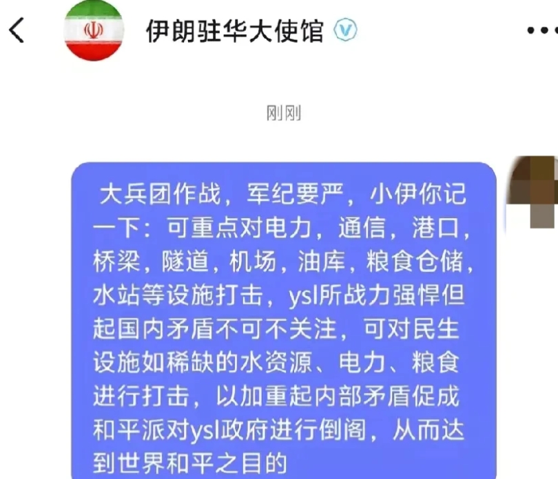 起猛了！中国网友给伊朗当军师了，而且效果还是非常不错的！我就说大家前几天嘲讽批评