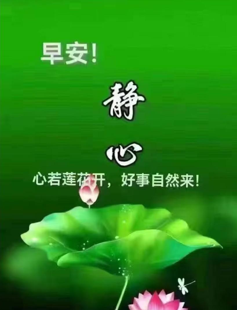 [玫瑰]早上好[玫瑰]
清晨的鸟鸣送来；
新一天的祝福，
愿健康如影随形，
让你