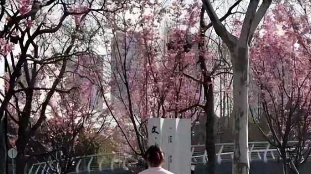 淡出 3 年藏不住了！董卿回归不靠主持，转身手握 1 亿公司当老板