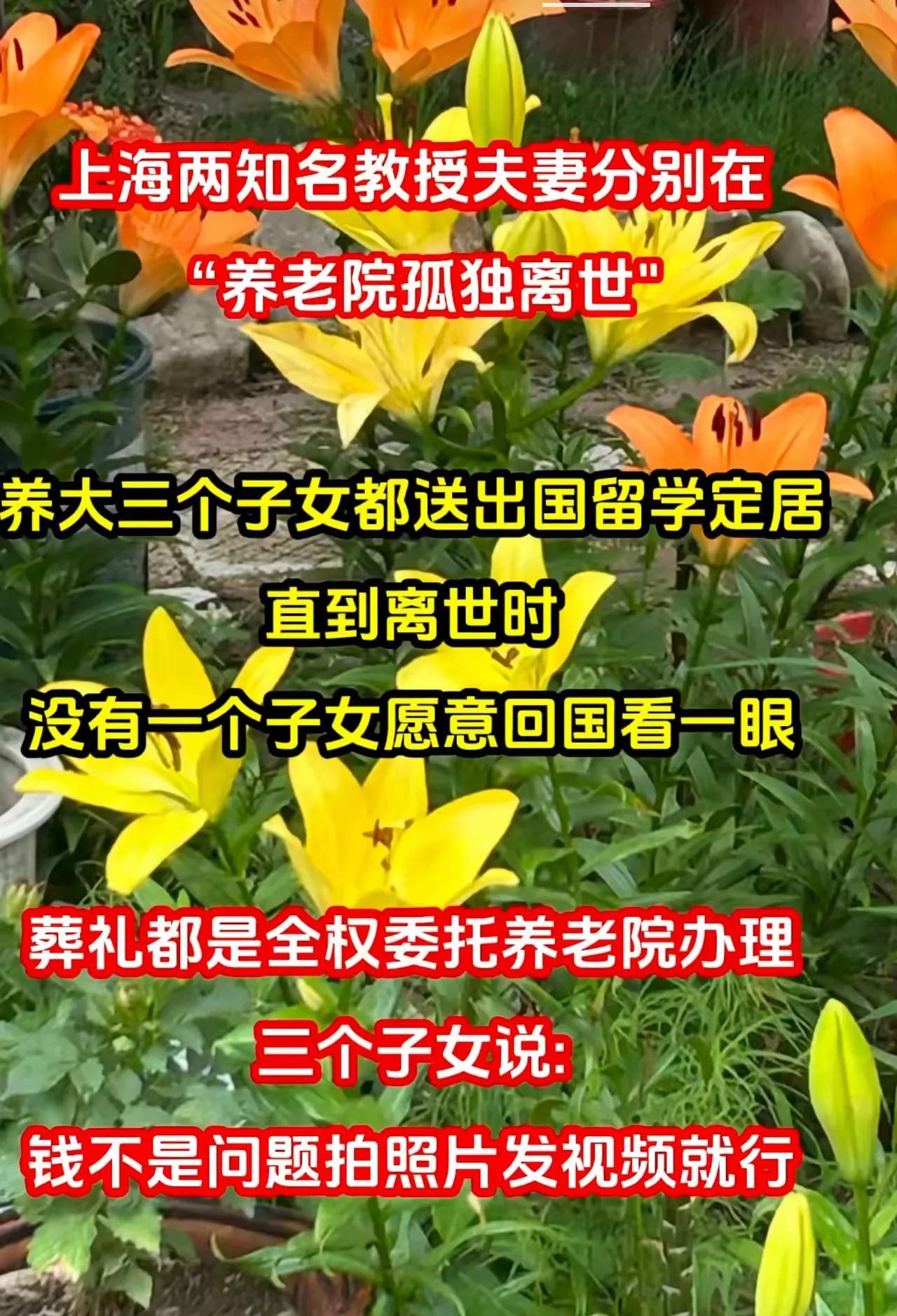 唉……悲哀啊
有出息了为啥要送去外国呢
长时间在国外耳濡目染
在西方文化的熏染下