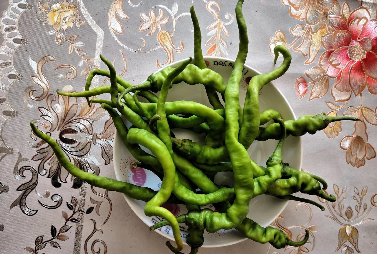 我是东北人，平常就爱蘸着大酱吃生辣椒，嘴还挺挑的，没什么辣味的辣椒不喜欢吃，感觉