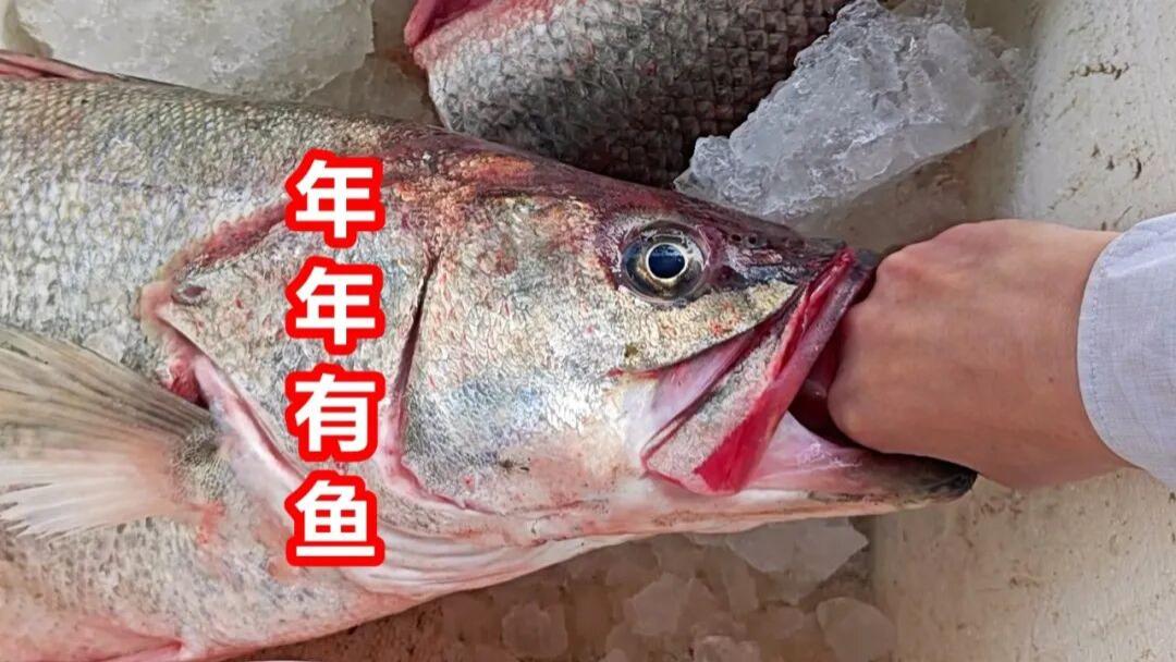 元旦看鱼，年年有余，广州莲花山码头