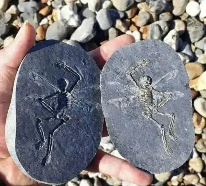 捡到一块石头，帮看看值钱不