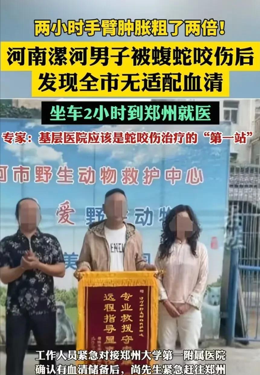 [太阳]5月13日，河南漯河，一位大哥发现村里土坡上有一只满身花纹的蝮蛇，他赶紧
