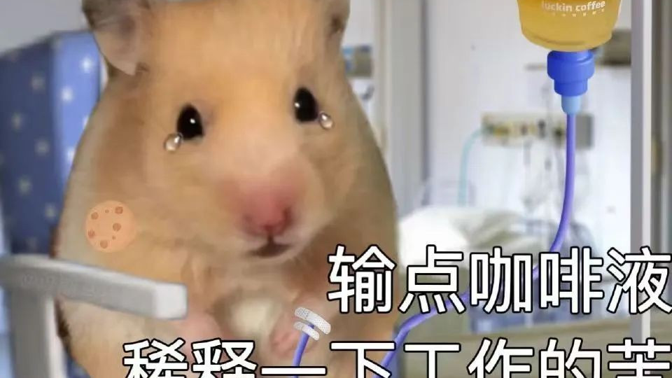 还在死守铁饭碗？四大星座早已觉醒，靠自由职业走向人生巅峰！