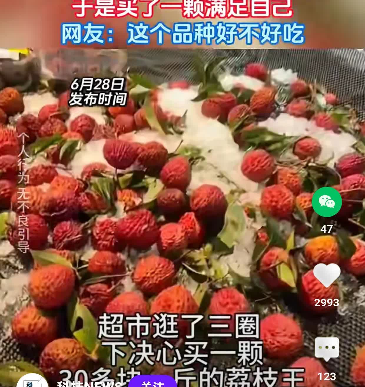 女子想吃30多块钱一斤的荔枝王，
于是买了一颗满足自己。
这操作和我有一拼呀