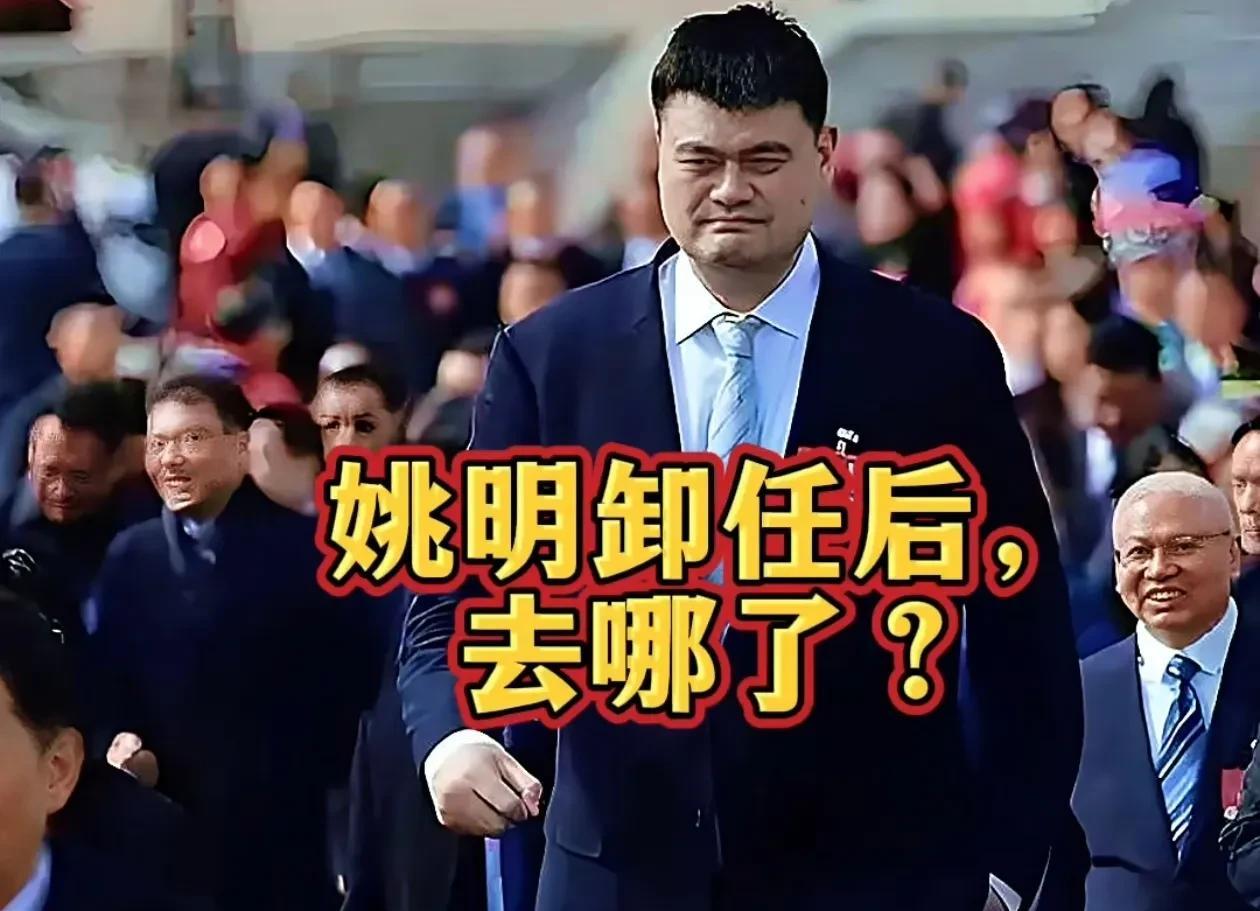 有人问，姚明卸任篮协主席之后去哪了？2024年10月31日，姚明卸任中国篮协主席