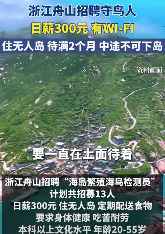 你见过最硬核的避世工作吗？浙江舟山正在招人“守鸟”，日薪300元包吃住，有WiF