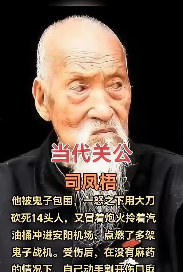 司凤梧，1916年出生，河南省辉县人沙坪乡人，抗战特等功获得者。曾经顶着棉被炸鬼