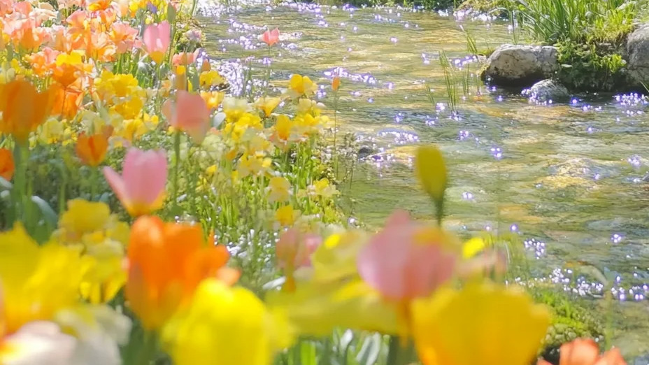 为什么你越好说话，别人越不把你当回事？真相扎心了