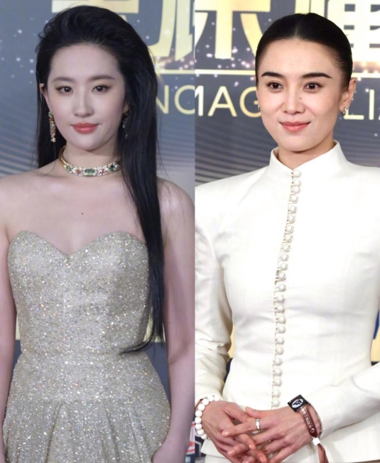 网友认为本届白玉兰奖最佳女主角最强有劲的两位分别是刘亦菲和宋佳。
刘亦菲的《玫瑰