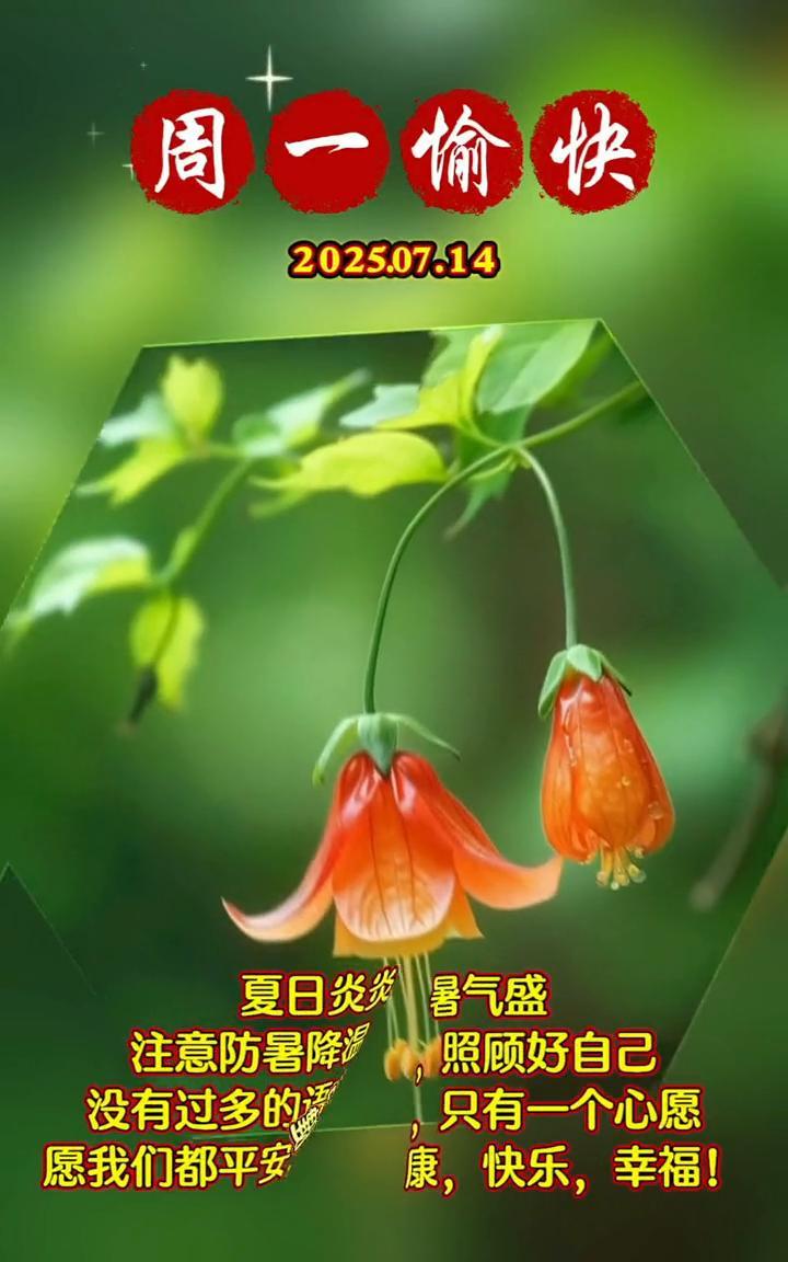 周一愉快。
夏日炎炎暑气盛，注意防暑降温，照顾好自己。没有过多的语言，只有一个心