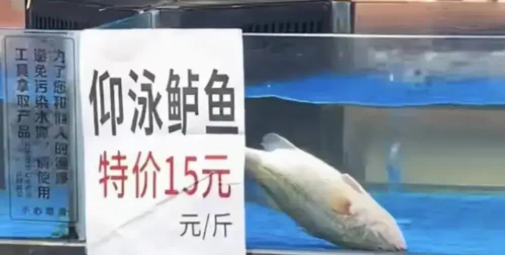 “仰泳鲈鱼”这事儿还挺有趣的。商家打出“仰泳鲈鱼15元两条”的招牌，这名字起得很