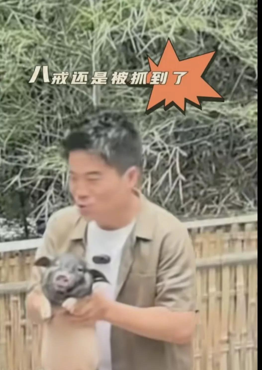 董宇辉，你咋跑去猪圈抓猪去了，看把龙洋吓得，你还在那笑不停。
龙洋都急了：你别、