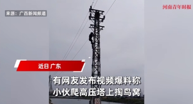 “离了个大谱！”近日，广东，一小伙为了“掏鸟窝”，竟然爬上了一座高压电塔，结果在