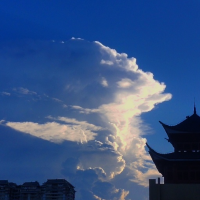 博学西瓜的小红薯