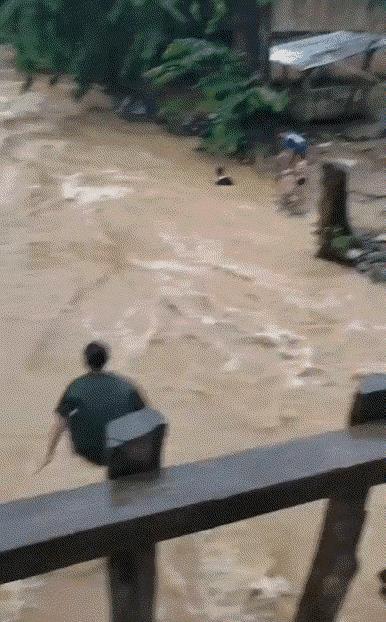 这真是初生牛犊不怕虎
看着都揪心