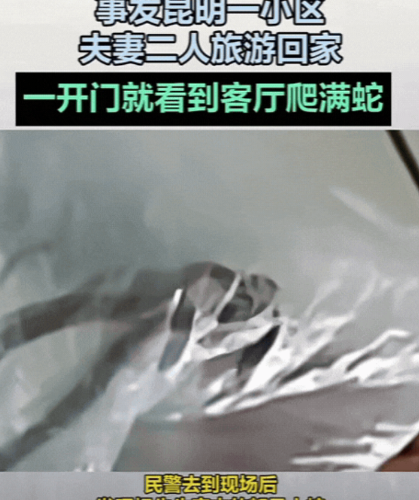 “三观太正了！”湖南，男子为了让2个孩子体验生活，竟然带2个孩子，从深圳徒步回长
