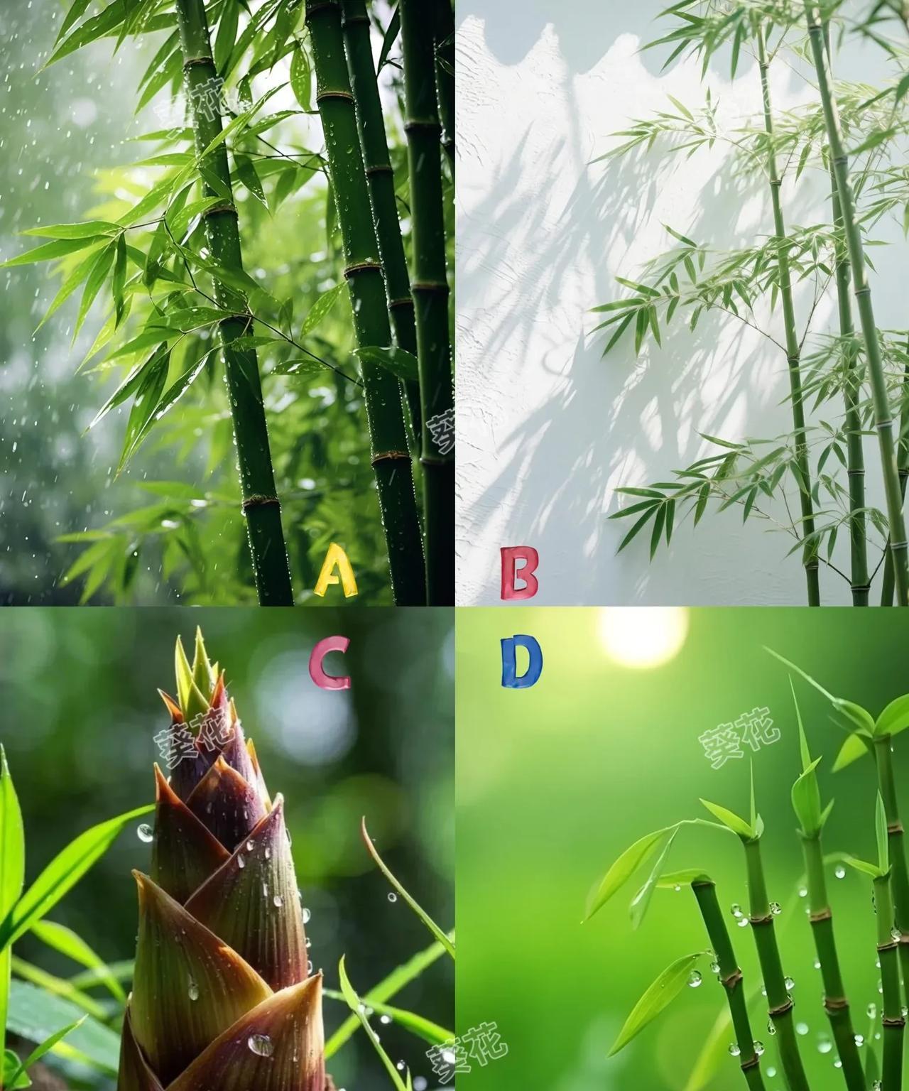 测一测，你的命中有多少财富？
下图中，选一棵生机勃勃的竹子？
趣味测试，超级准哦