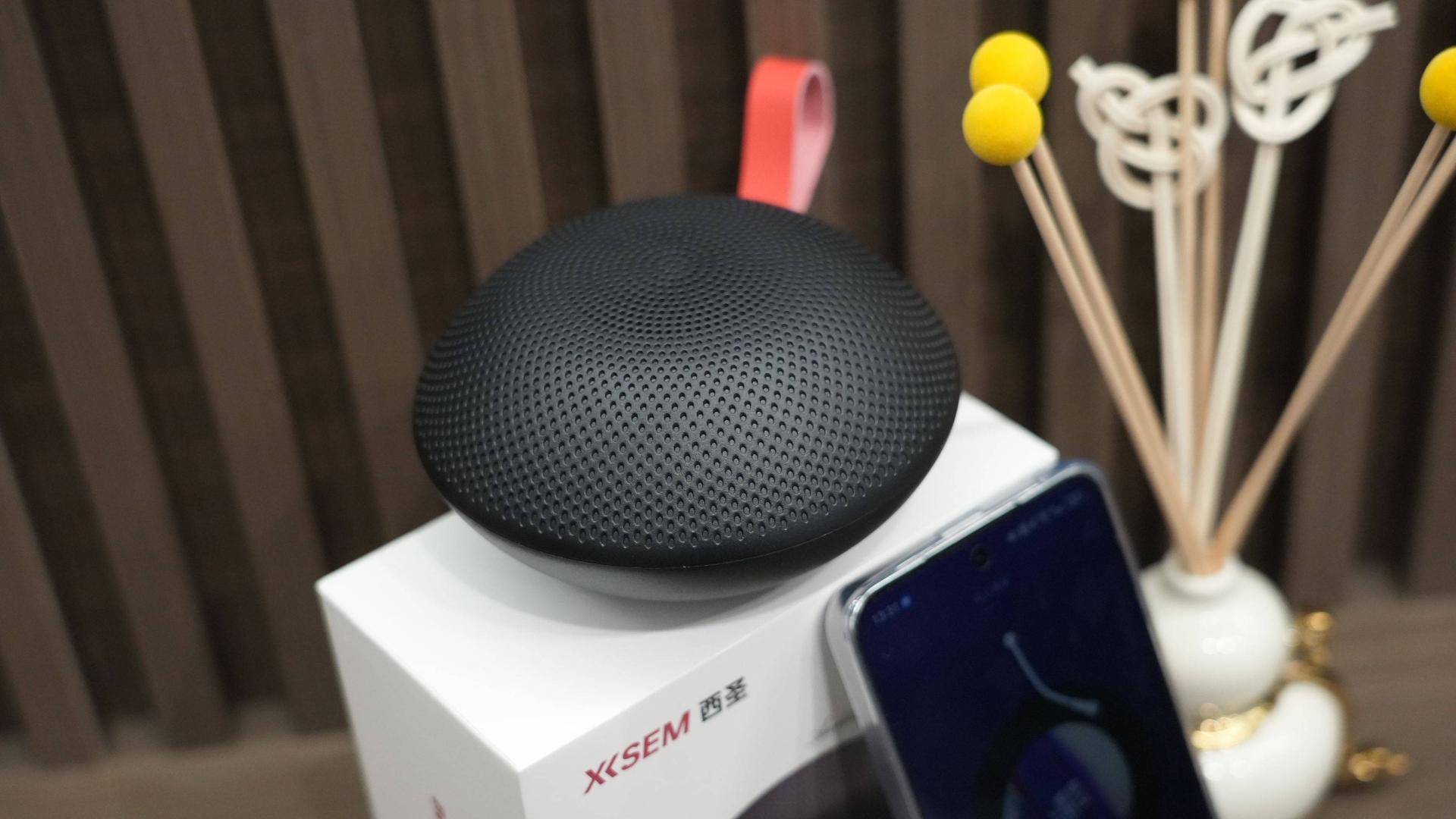 蓝牙音箱哪个牌子性价比高？蓝牙音箱排名前十大品牌推荐，哈曼卡顿、BOSE、西圣、马歇尔等大牌热门款倾