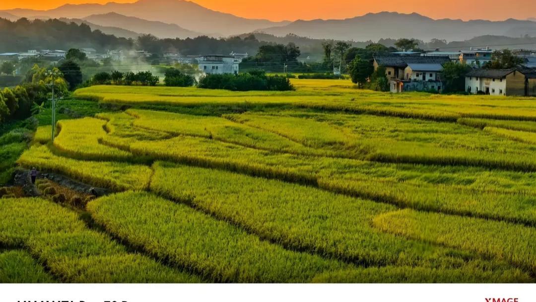 揭秘UL1026: 2023应力消除测试，看看厨房小电器如何“闯关”！