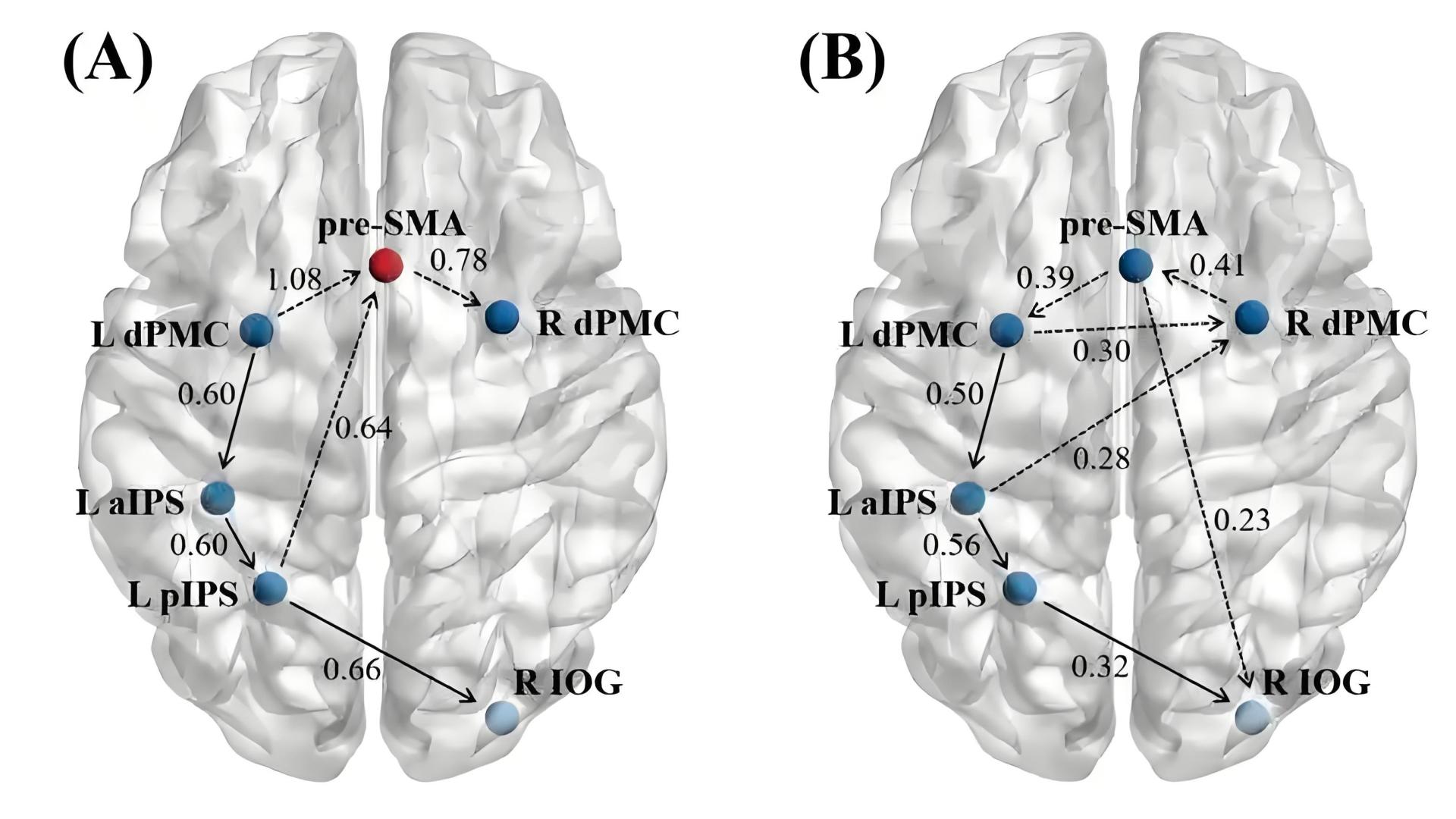 VR从容场景训练系统详细介绍