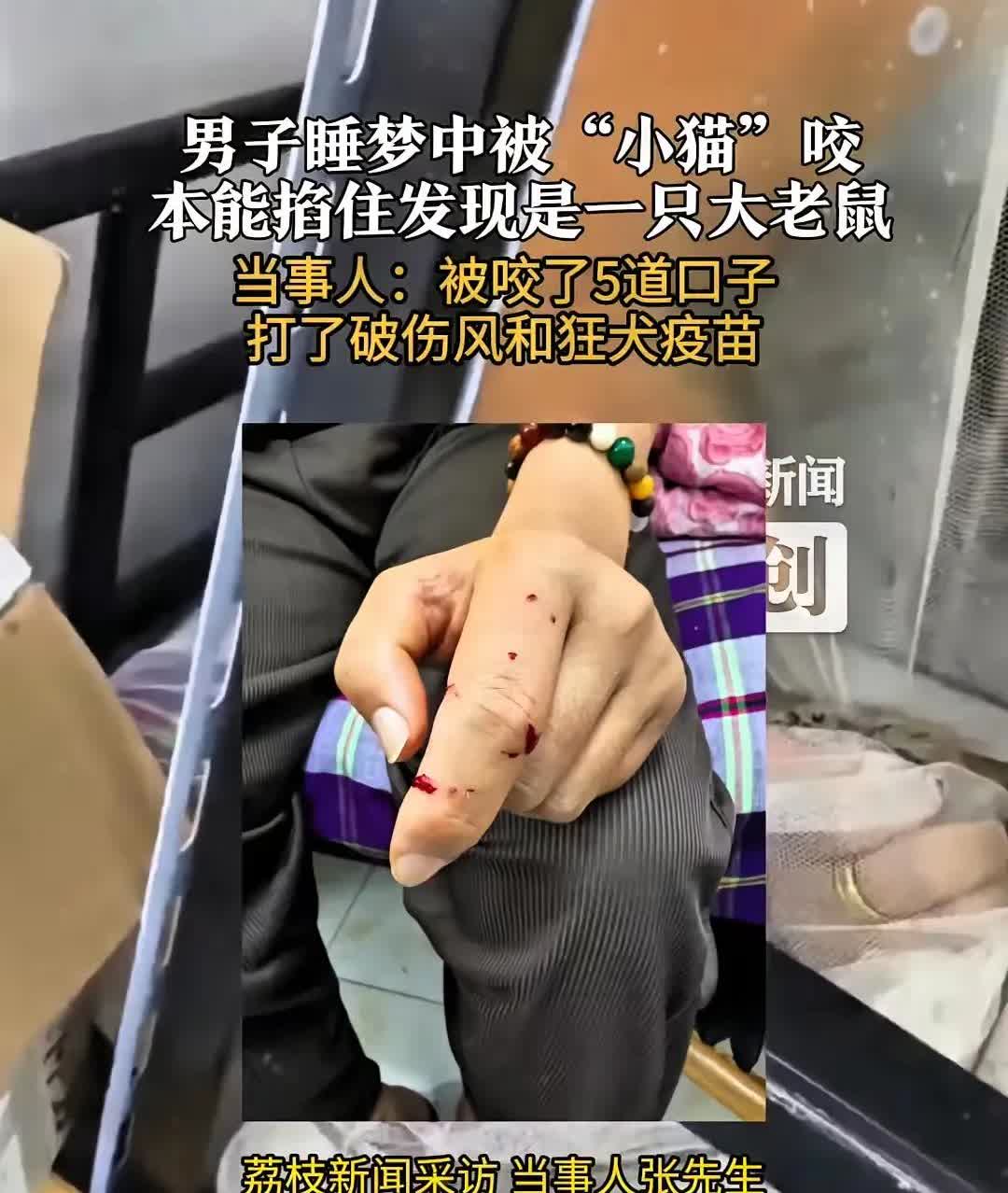 “太悲剧了！”江苏无锡，男子睡觉时，感觉手上有东西在爬，他误以为是养的猫，直接将