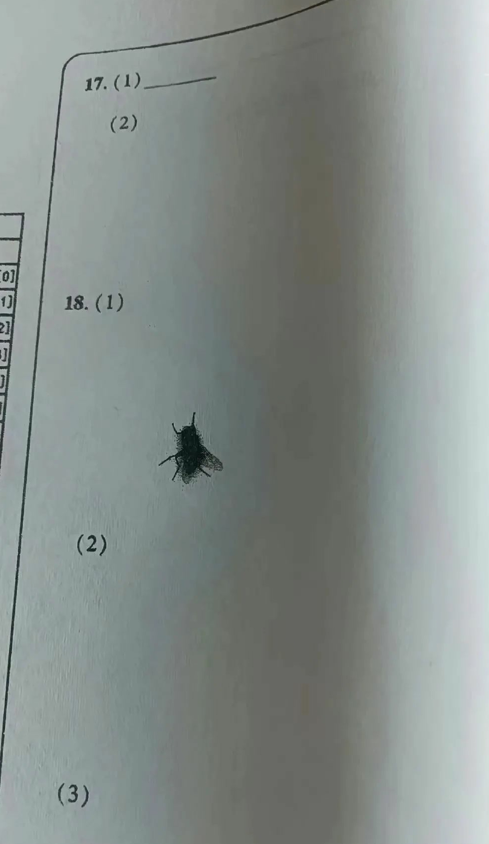 有的卷子一发下来就有代号了