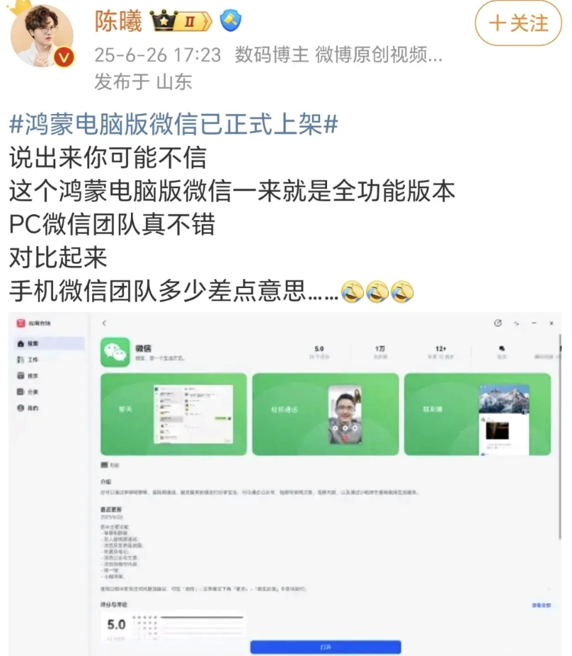 或许手机版本最开始只是为了敷衍上线，认为华为没有能力将整个鸿蒙生态构建起来，只是