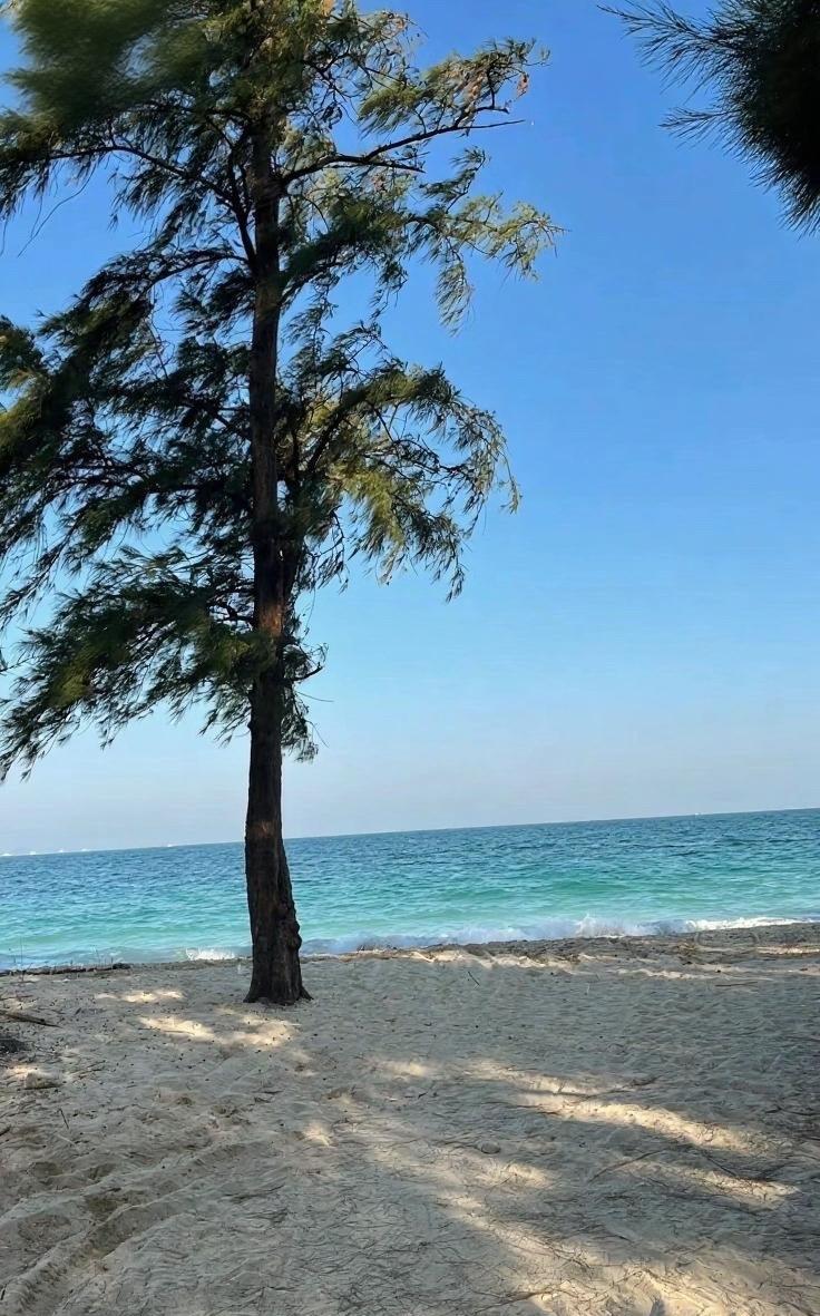 #海边治愈系 #自然的浪漫 #心灵放空处 #旅行中的小美好