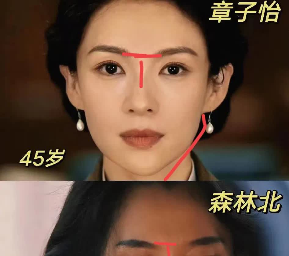 不得不说
当甄嬛传照进现实
终于懂什么是菀菀类卿了，汪峰的前妻章子怡和现任森