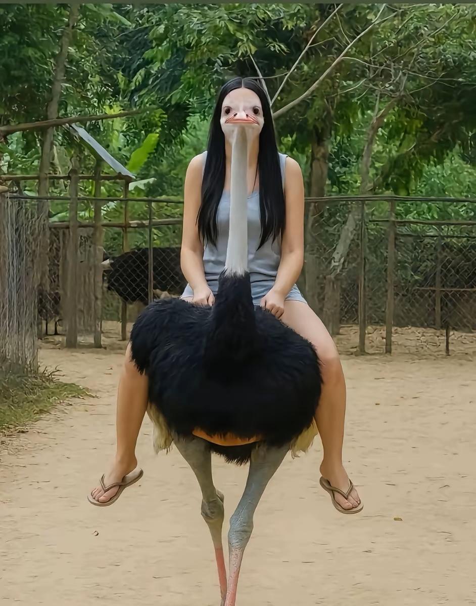 大家的朋友拍照技术有我的朋友拉丝吗