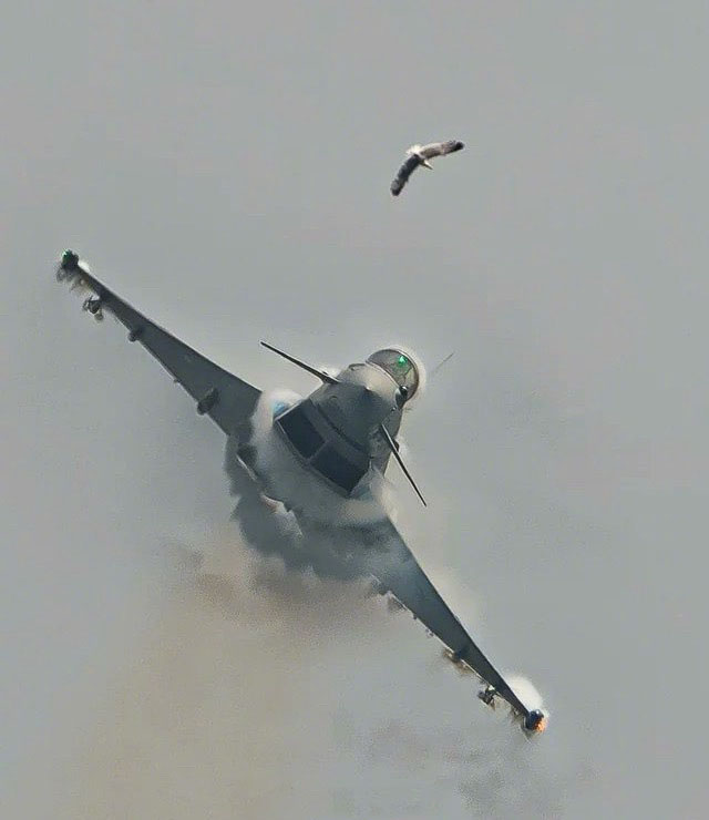 上个月西班牙Aire25航展，一架西班牙空军“台风”战斗机遭遇鸟击，整个过程刚好