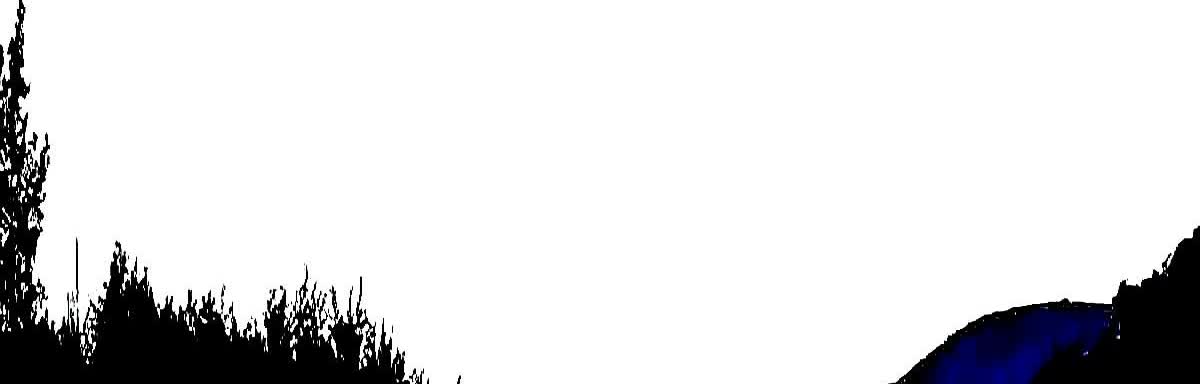 一夜之间，燃油车的天都要塌了：工信部发布燃油新规，2026年1月1日起，中型燃油