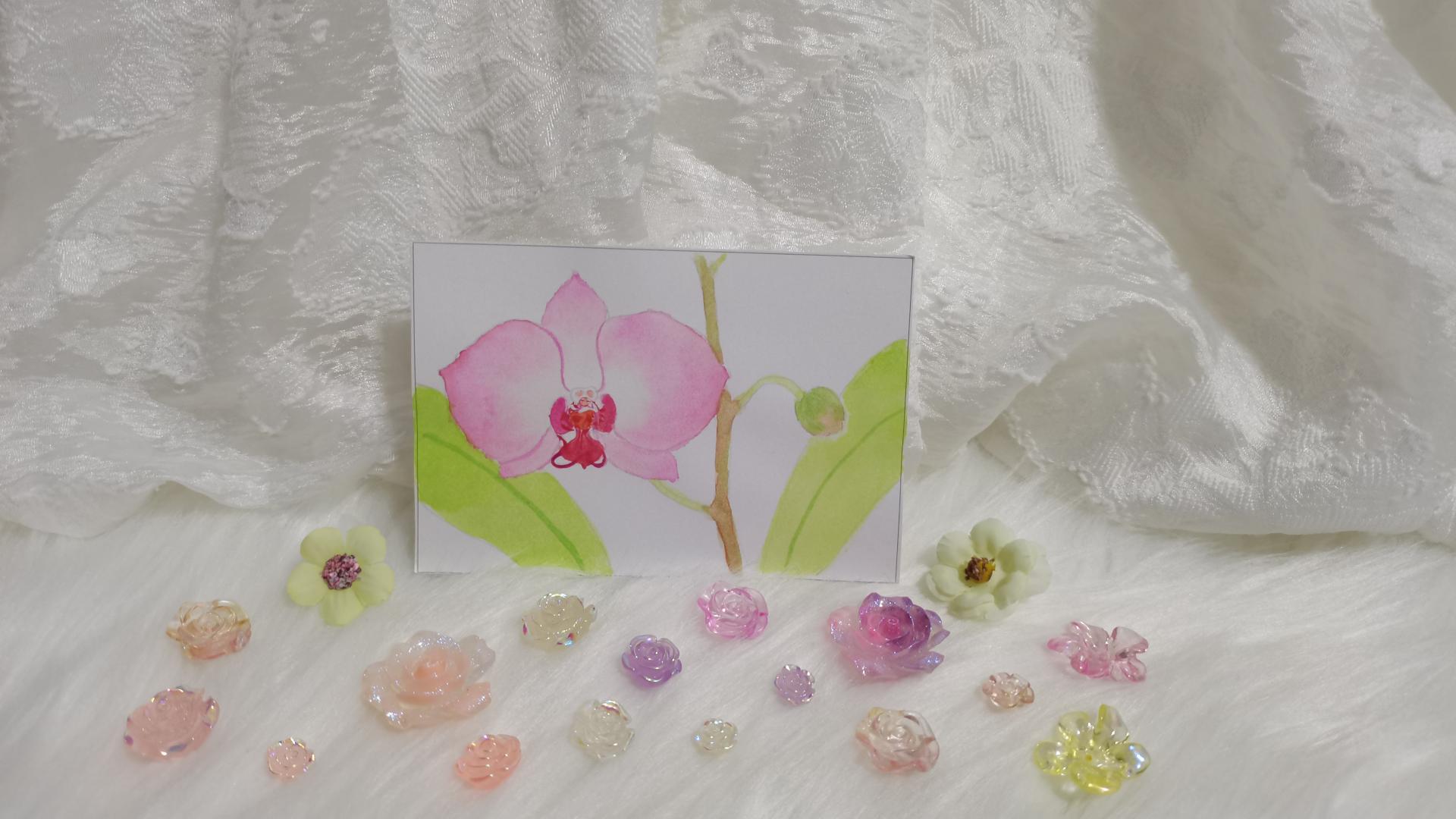 23 蝴蝶兰（绘画 水彩 果花甘06）