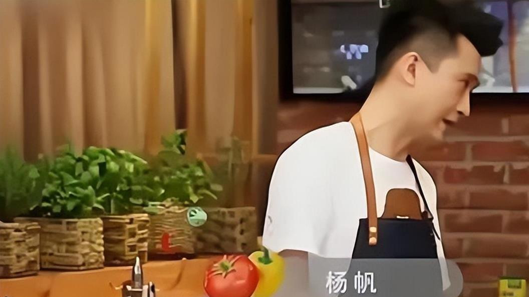 一条动态，戳穿了45岁张蕾的“真实处境”，怪不得她会离开央视