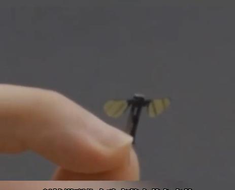 6月19日，我国成功研发出来了首款蚊子大小仿生机器人，重量仅为0.3克，对此，台